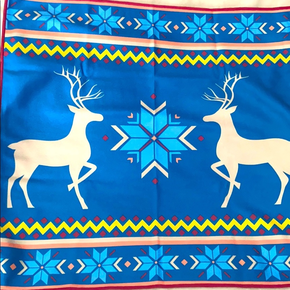 Limited edition new Christmas window cloth norwex